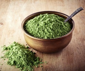 plant-based proteins